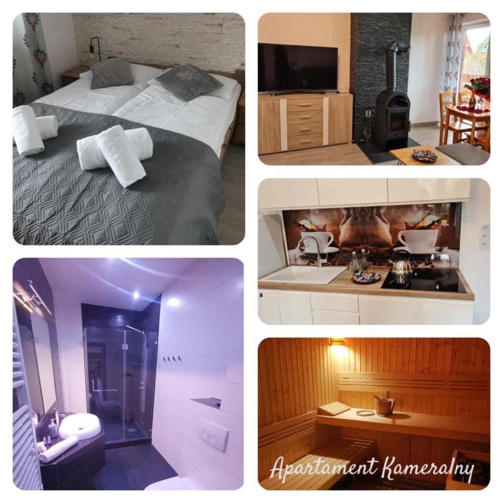 דירות זקופאנה Apartament Kameralny מראה חיצוני תמונה